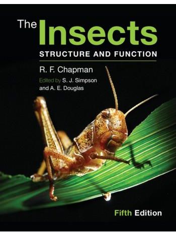 The Insects  Structure And Function