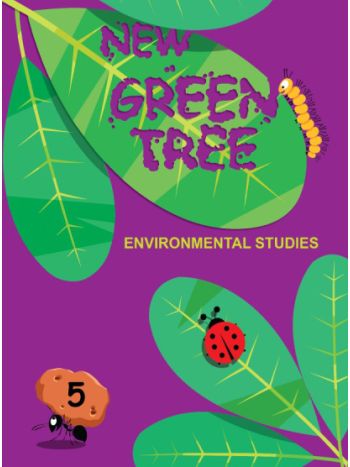 New Green Tree - Class 5
