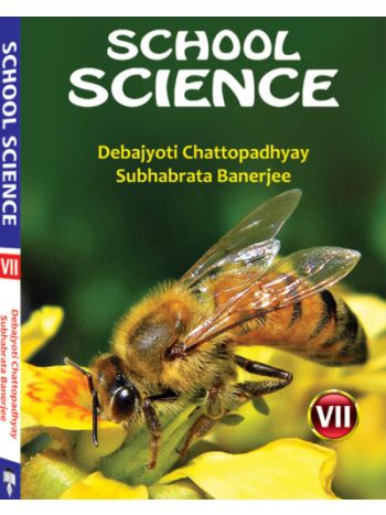 School Science 7
