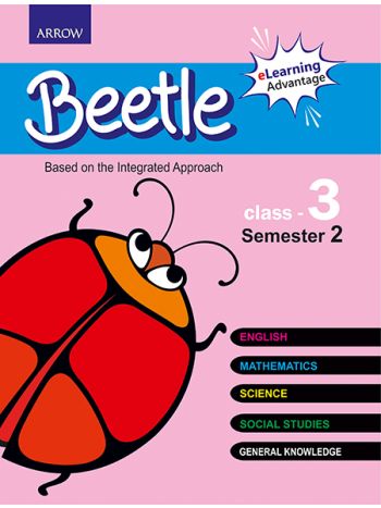 Beetle  Class 3  Semester 2